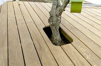 Une découpe ingénieuse pour laisser passer un arbre Détail sur la découpe dans une terrasse pour un arbre